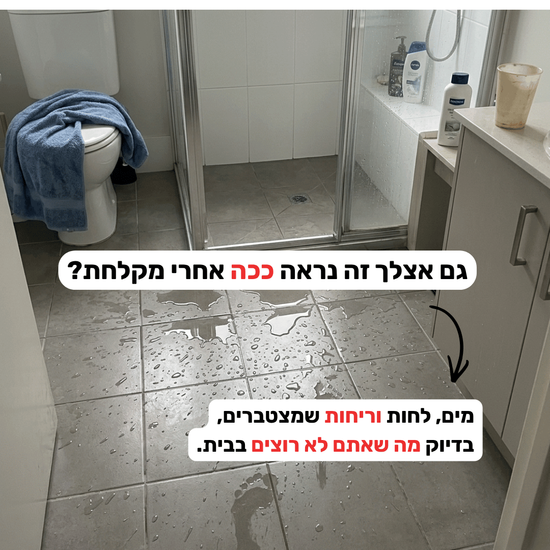 Custom Harness – ערכת הטיולים האנטומית: רתמה מותאמת אישית למניעת חנק וחבל משיכה בולם זעזועים