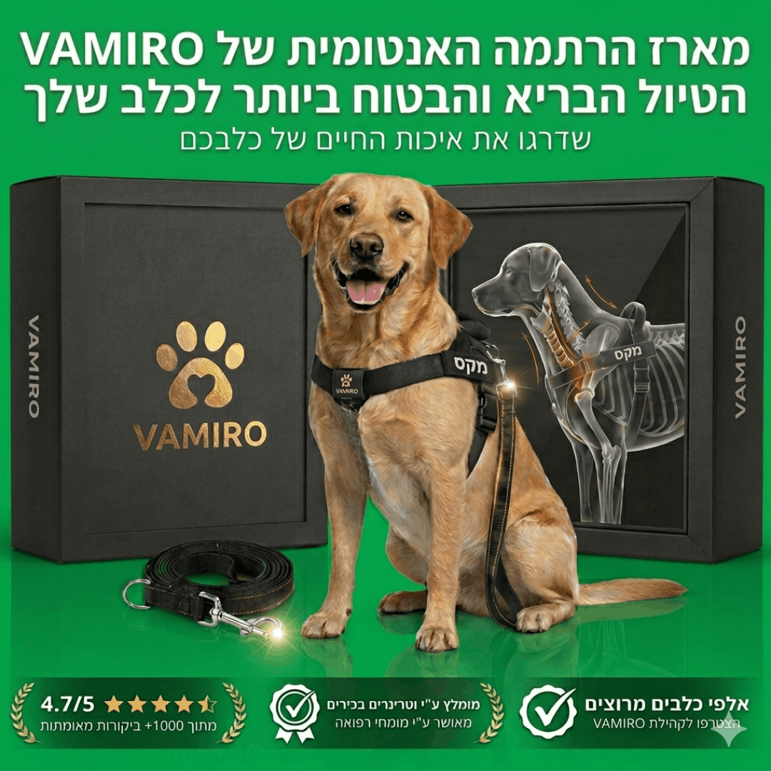 ™CustomComfort - מארז הריתמה האנטומית + רצועה מתנה