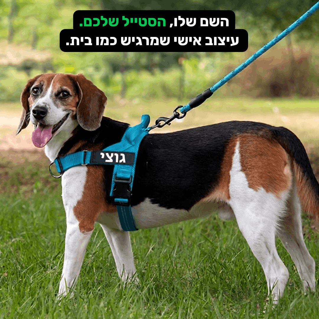 ™CustomComfort - מארז הריתמה האנטומית + רצועה מתנה