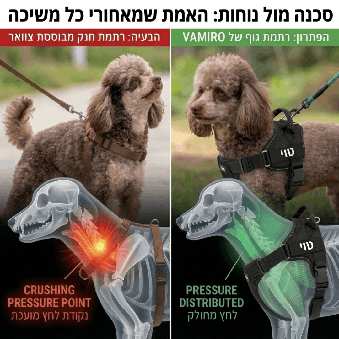 ™CustomComfort - מארז הריתמה האנטומית + רצועה מתנה