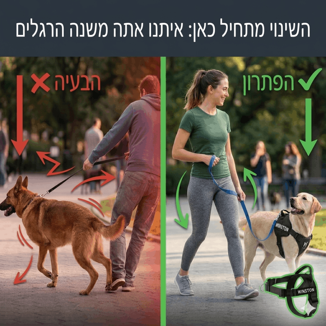 ™CustomComfort - מארז הריתמה האנטומית + רצועה מתנה