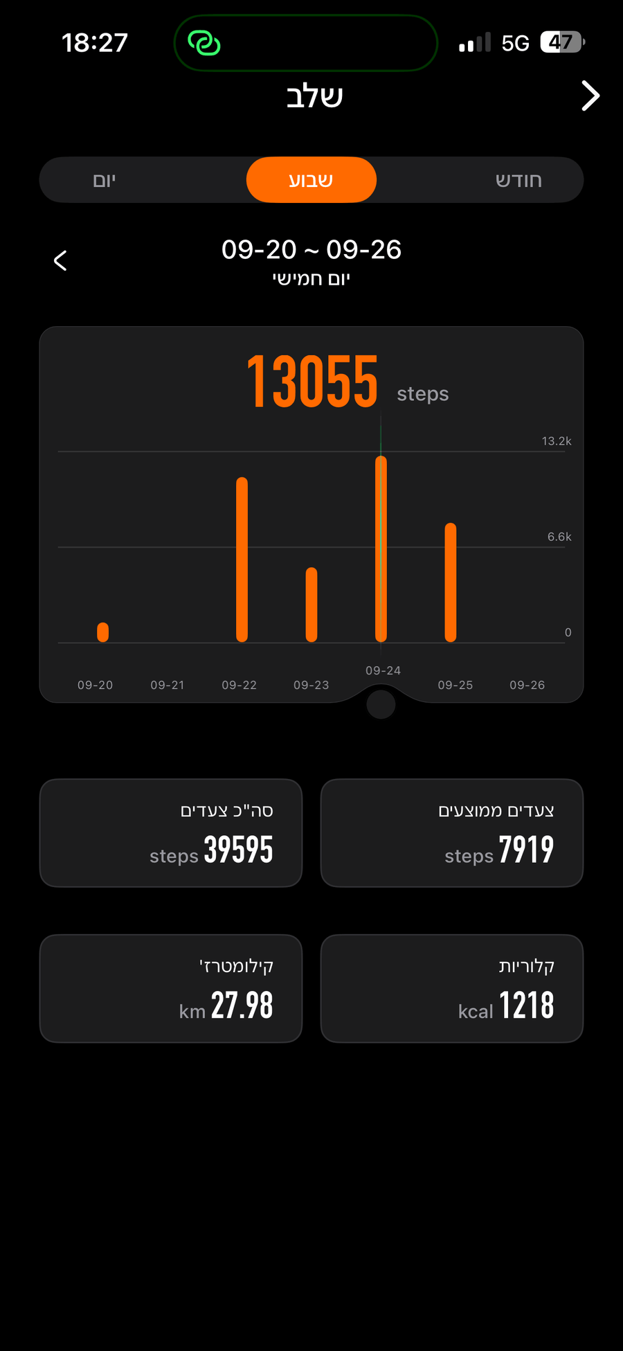 צעדים ופעילות